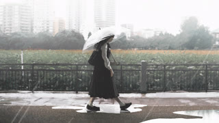示例素材 · 城市一角